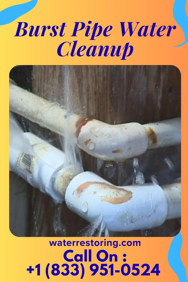 Burst Pipe Water Cleanup in Berea, KY