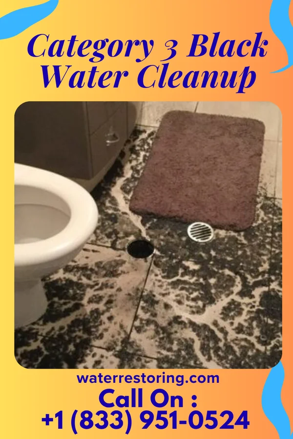 Category 3 Black Water Cleanup in Berea, KY