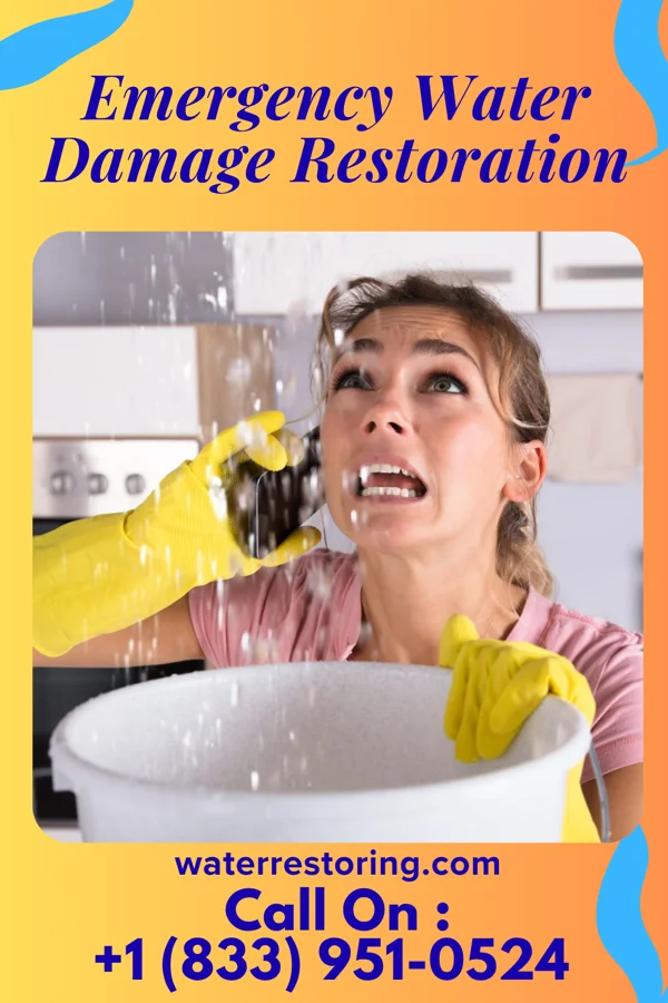 Emergency Water Damage Restoration in Berea, KY