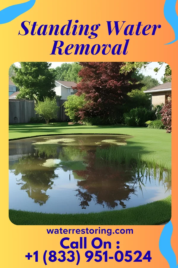 Standing Water Removal in Berea, KY